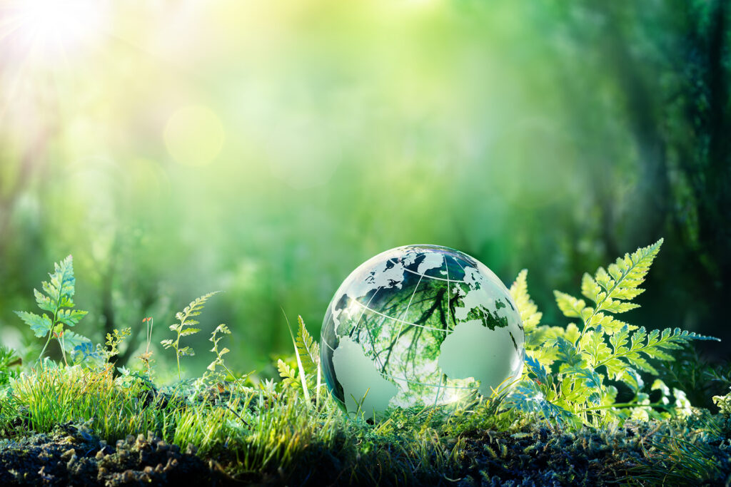 Green Globe On Moss - Environmental Concept