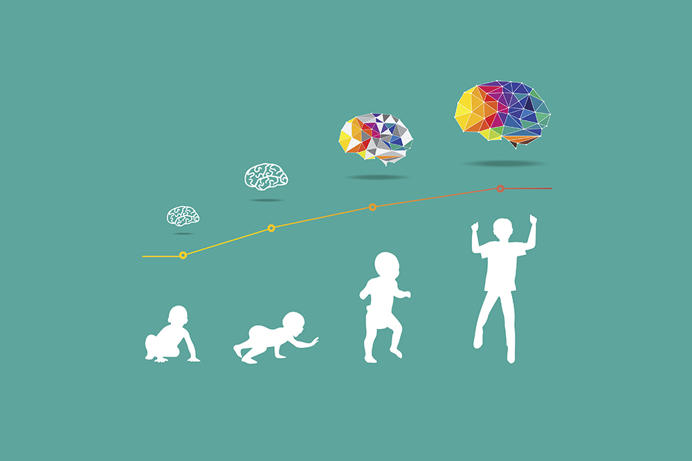 Developmental Psychology: Child and Brain development.