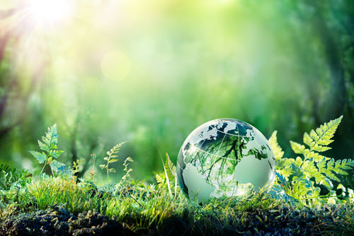 Environmnetal Psychology:Green Globe On Moss - Environmental Concept.