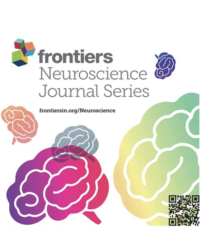 Frontiers in neuroscience