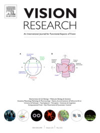 Vision research