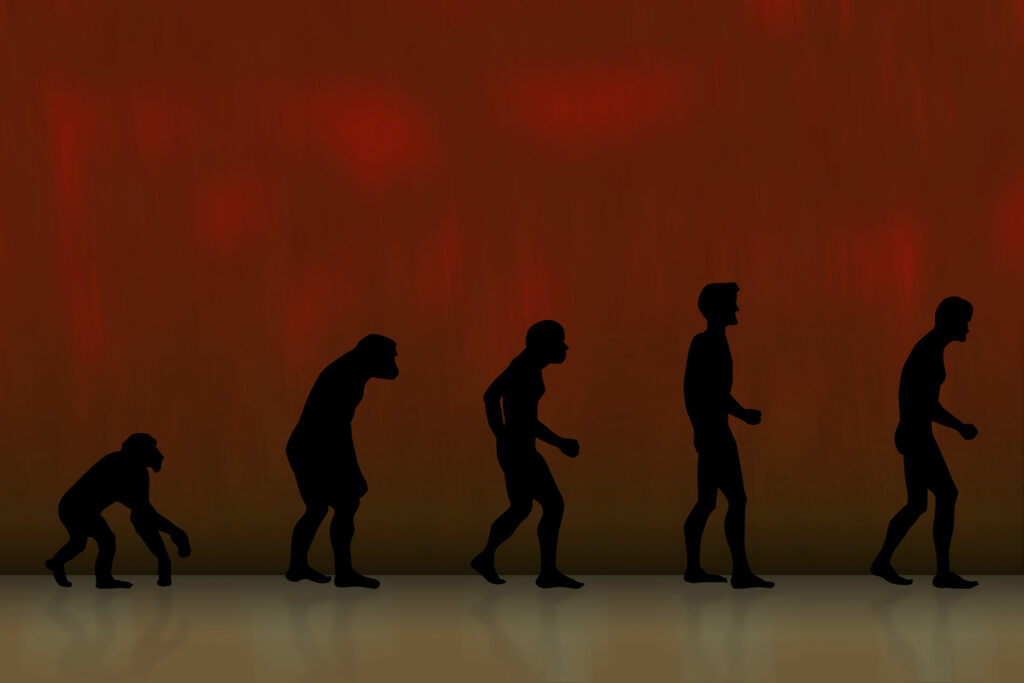 Biological anthropology(1920x1280)