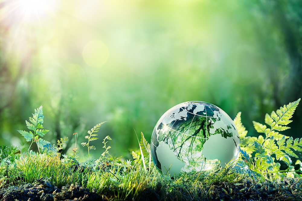 Globe On Moss In Forest Environment Concept