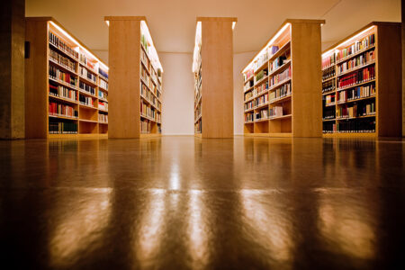 Bookshelves at the library
